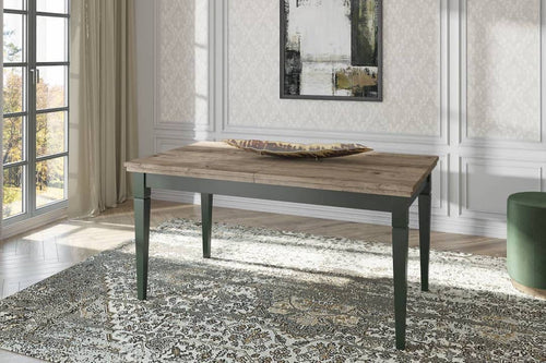 Long wooden dining table with green legs in a room with large windows and a rug.