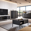 Modern living room with black furniture, TV, and decor.